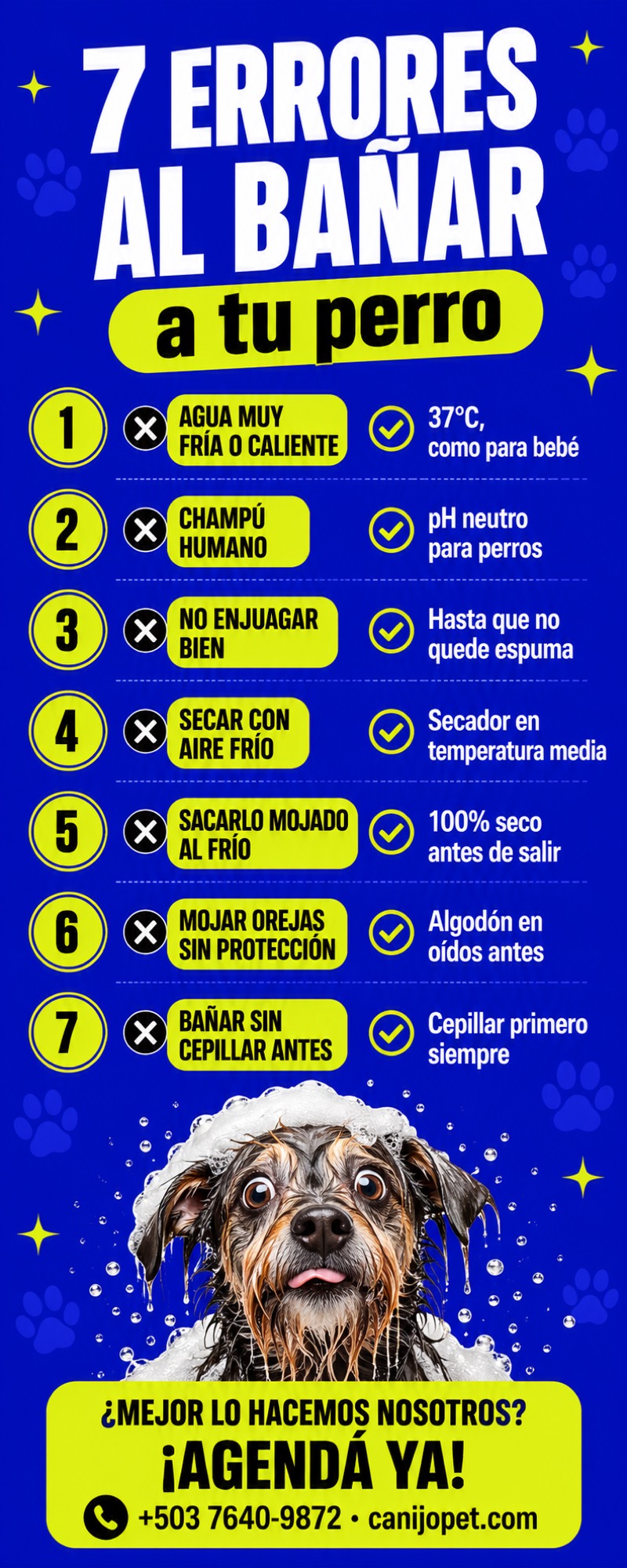 Los 7 errores más comunes al bañar a tu perro en casa