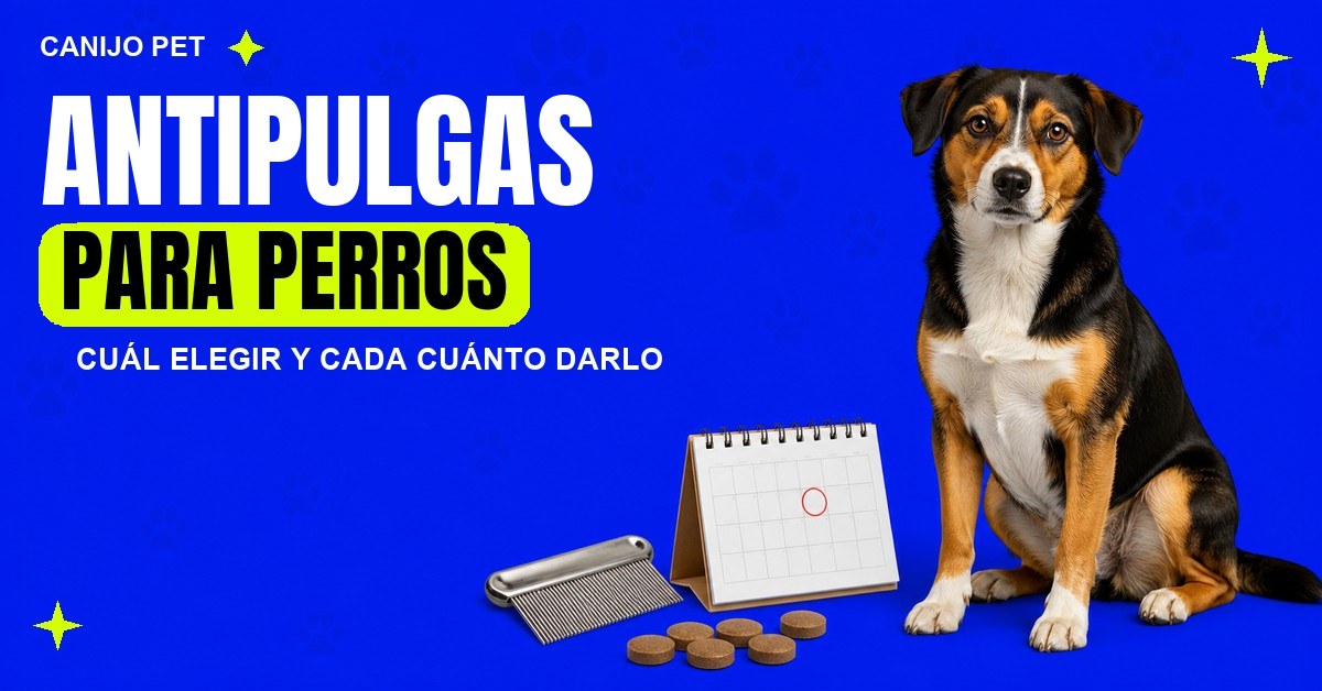 Perro tricolor junto a tabletas masticables, un peine antipulgas y un calendario