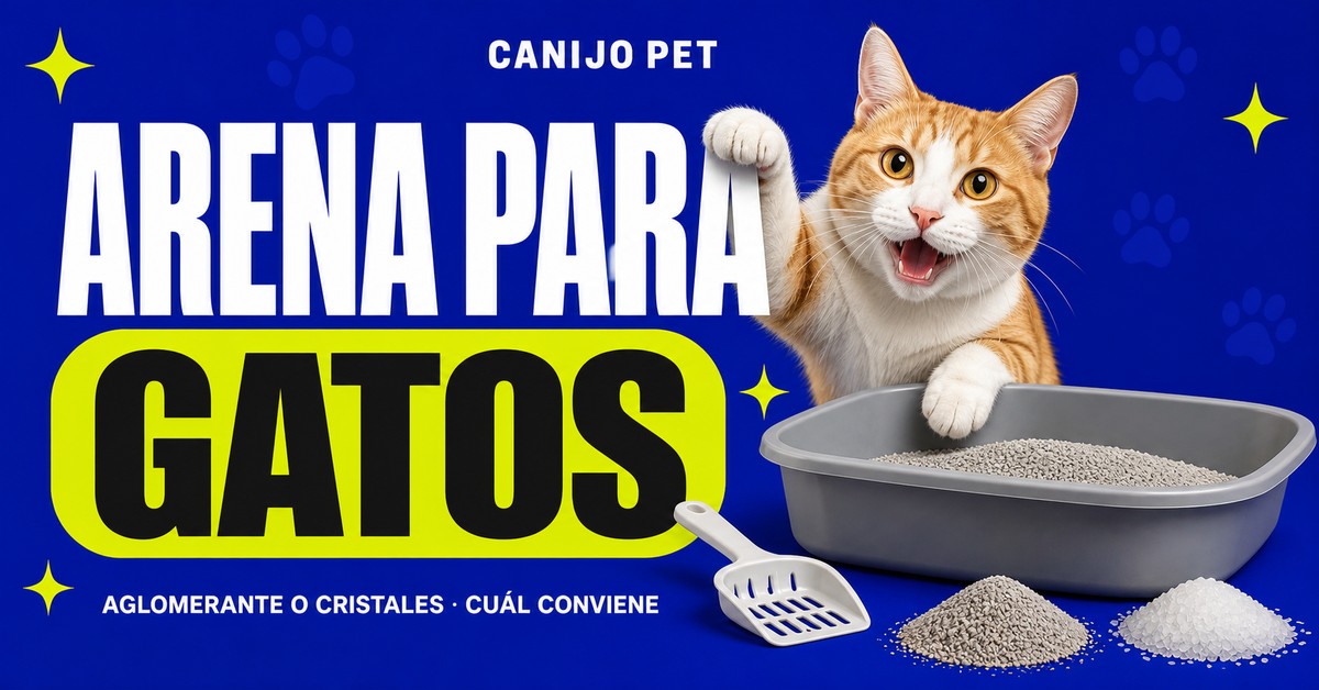 Gato blanco y naranja junto a una caja, una pala y muestras de arena de arcilla y cristales
