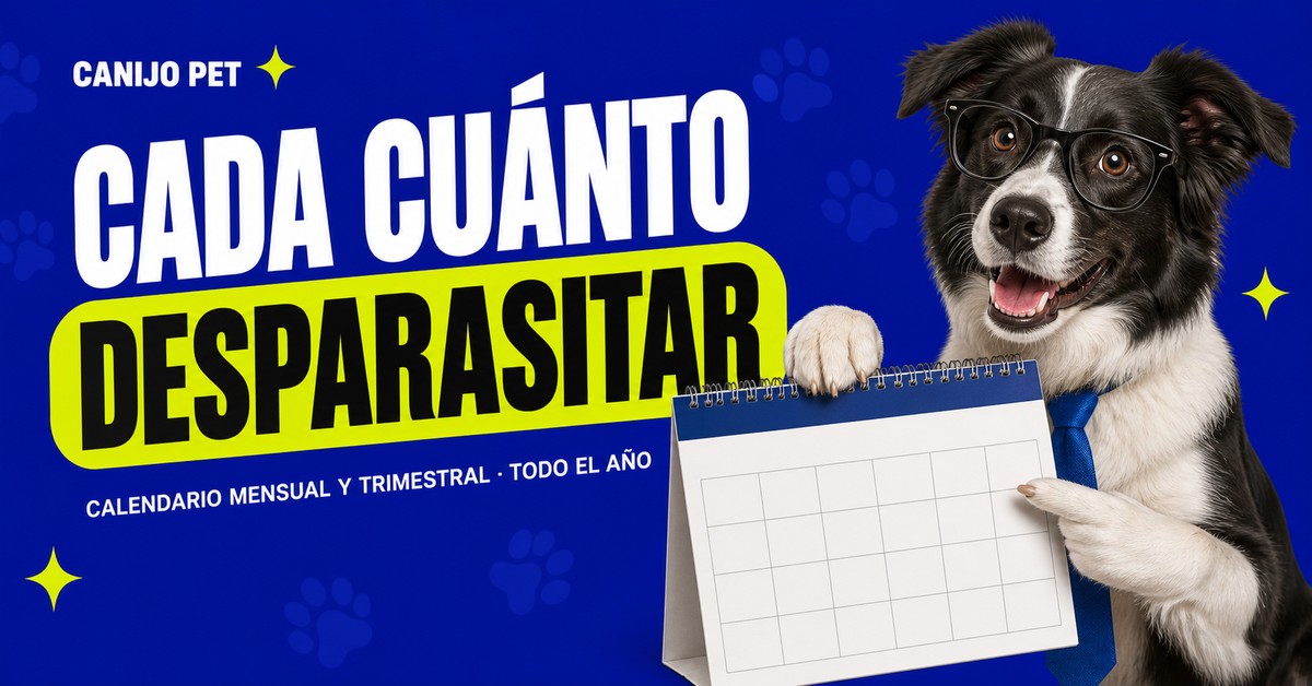 Perro mestizo junto a un calendario anual marcado y un peine antipulgas