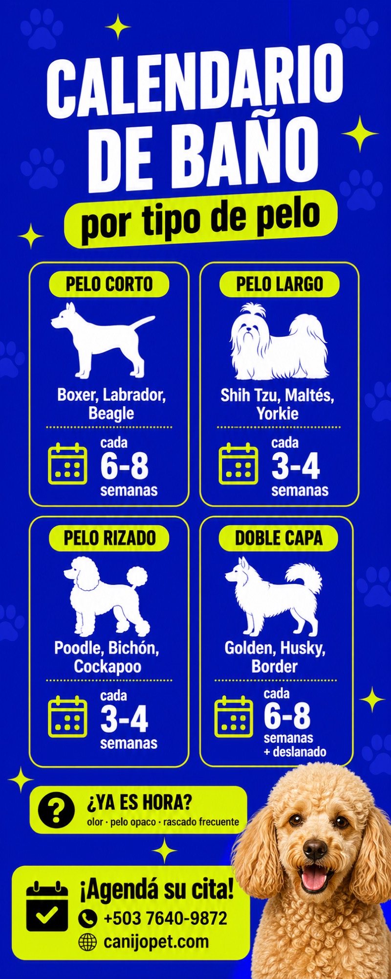 Calendario de baño según el tipo de pelo del perro