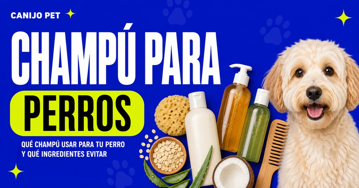 Cómo elegir el champú correcto para tu perro