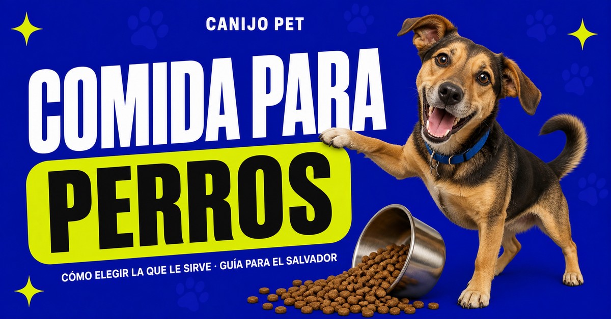 Perro mestizo claro junto a un bowl volcado con croquetas y una taza medidora