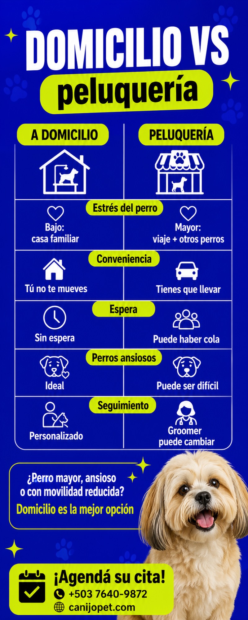 Comparación grooming a domicilio vs peluquería canina