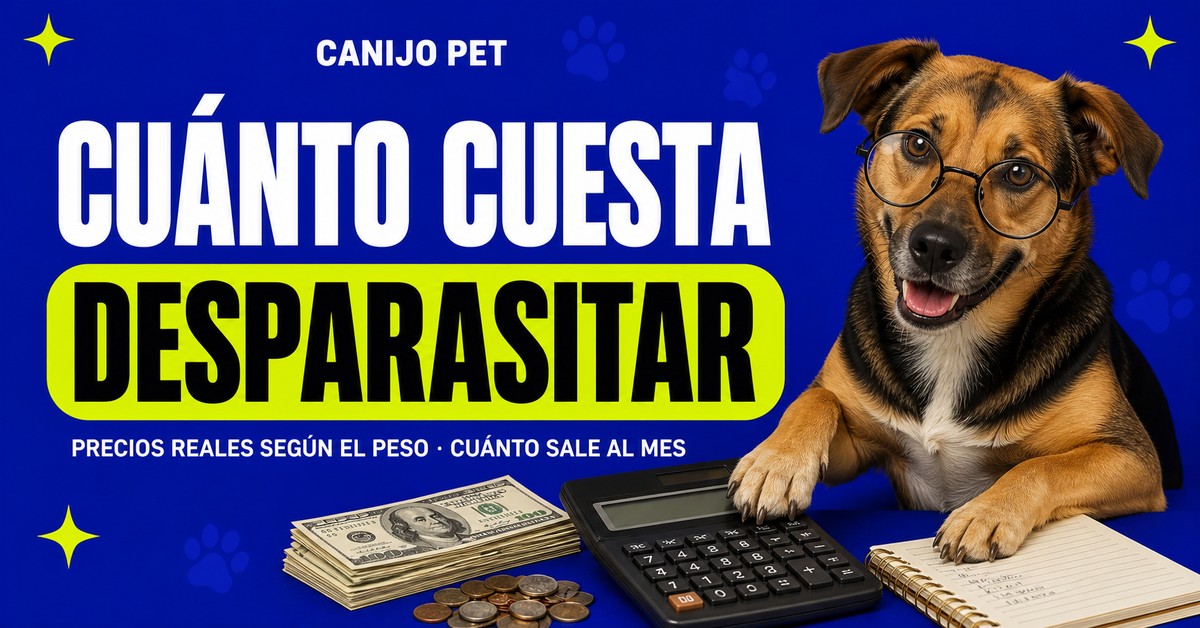 Perro mestizo junto a una calculadora, dólares, monedas y una libreta