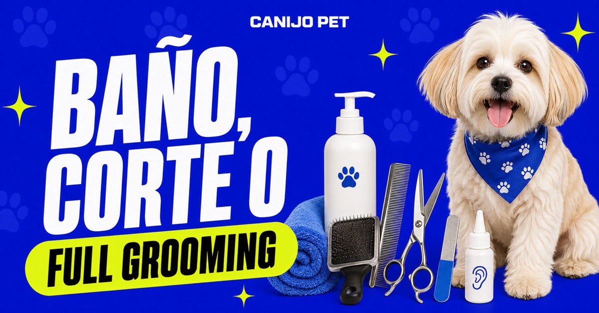 Diferencia entre baño, baño y corte y full grooming