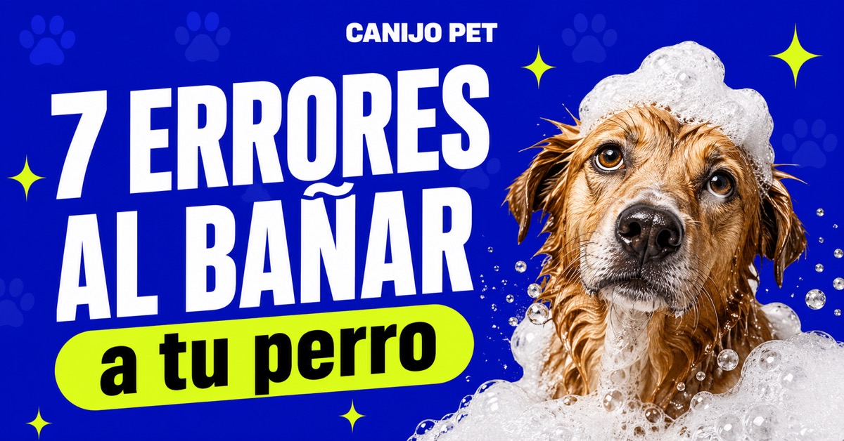 Errores comunes al bañar a tu perro en casa