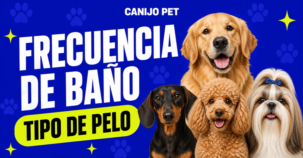 Frecuencia de baño según el tipo de pelo del perro