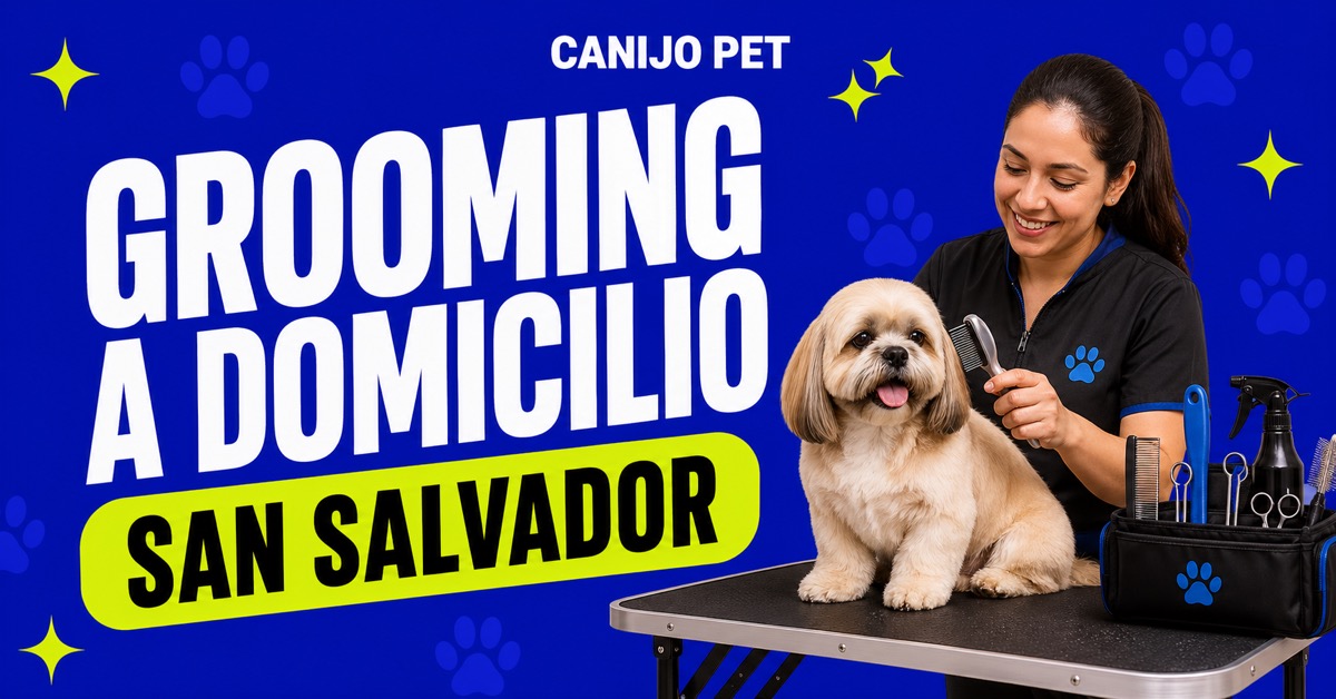 Cómo preparar tu casa para el grooming a domicilio en San Salvador
