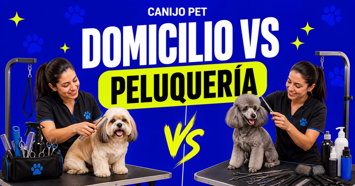 Grooming a domicilio vs peluquería canina