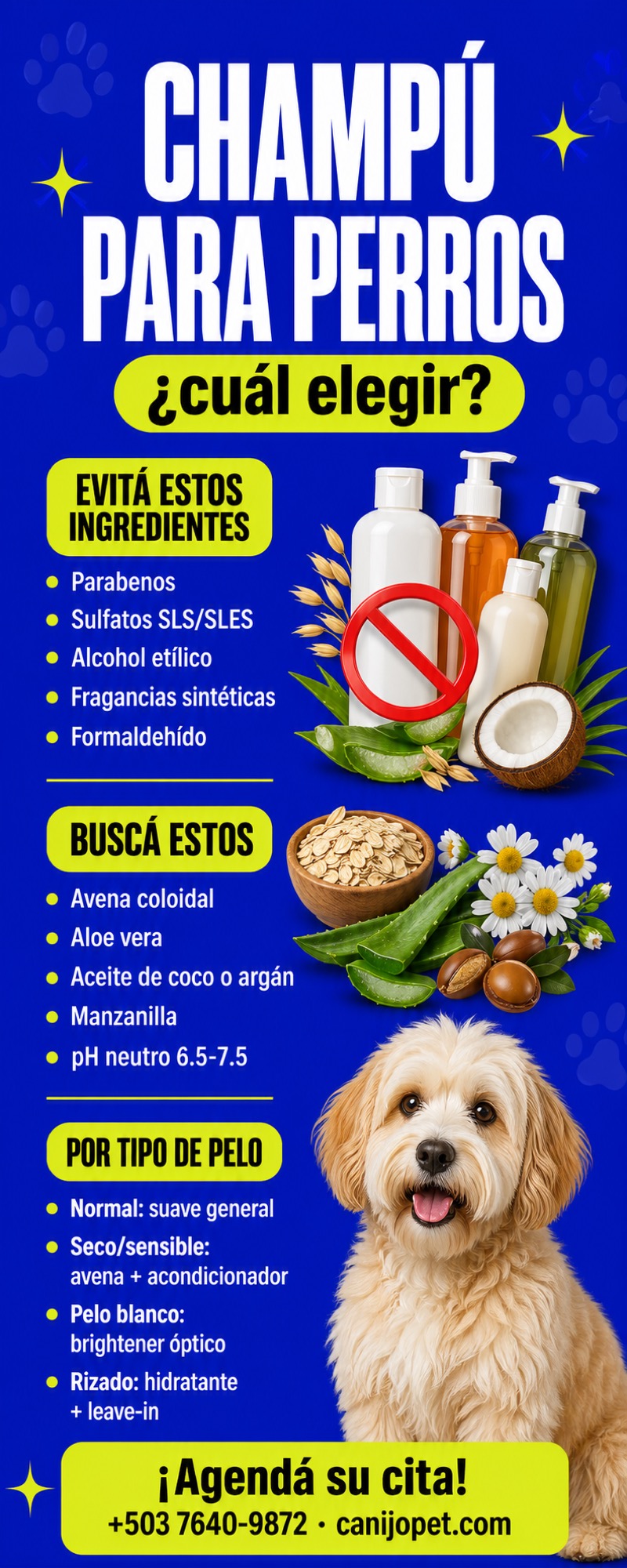 Guía de champú para perros por ingredientes y tipo de pelo
