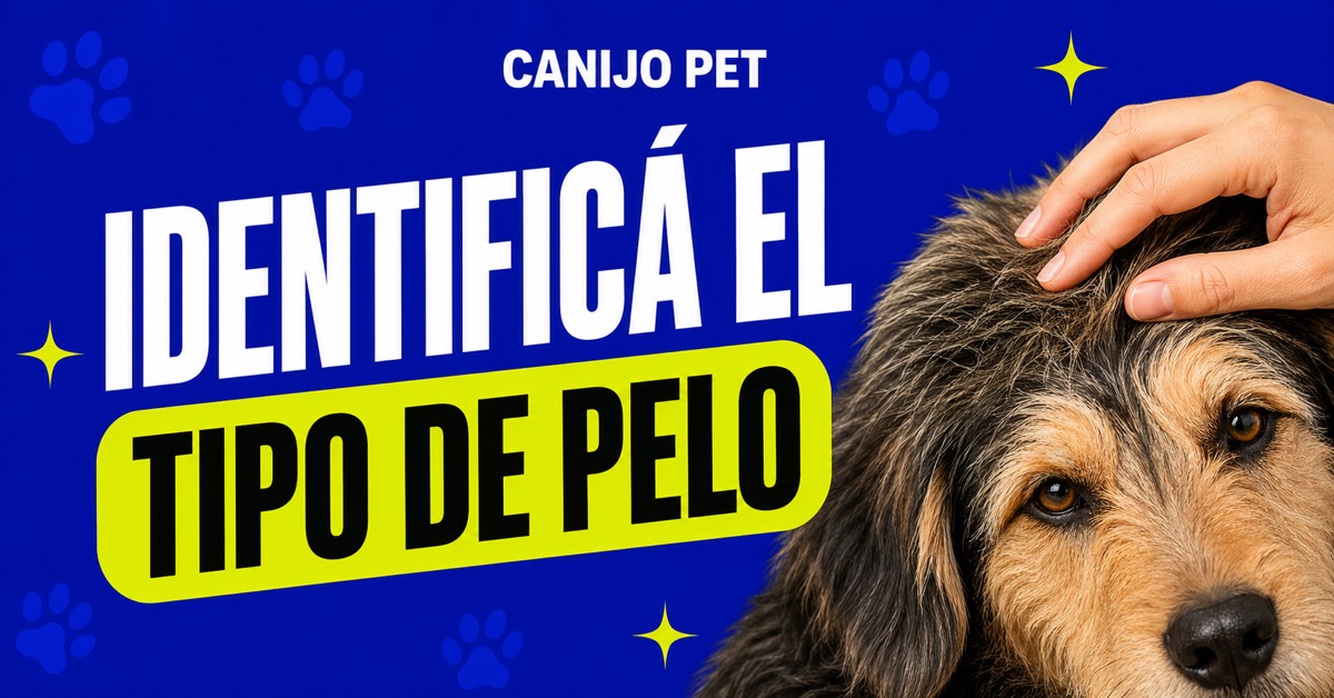 Cómo identificar el tipo de pelo de tu perro