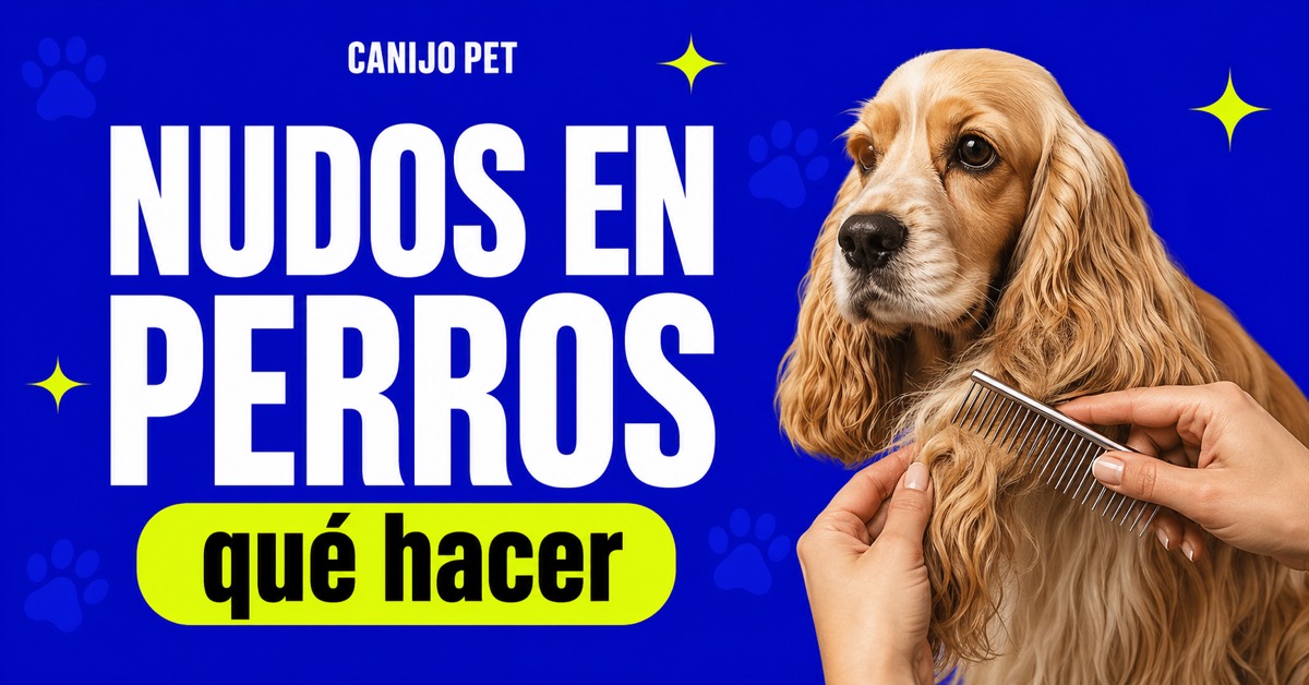 Cómo manejar nudos en el pelo de tu perro