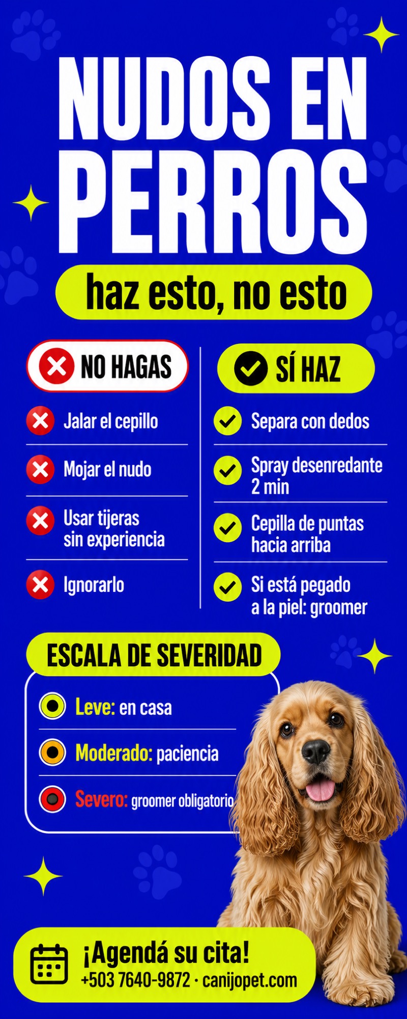 Nudos en perros: qué hacer y qué no hacer
