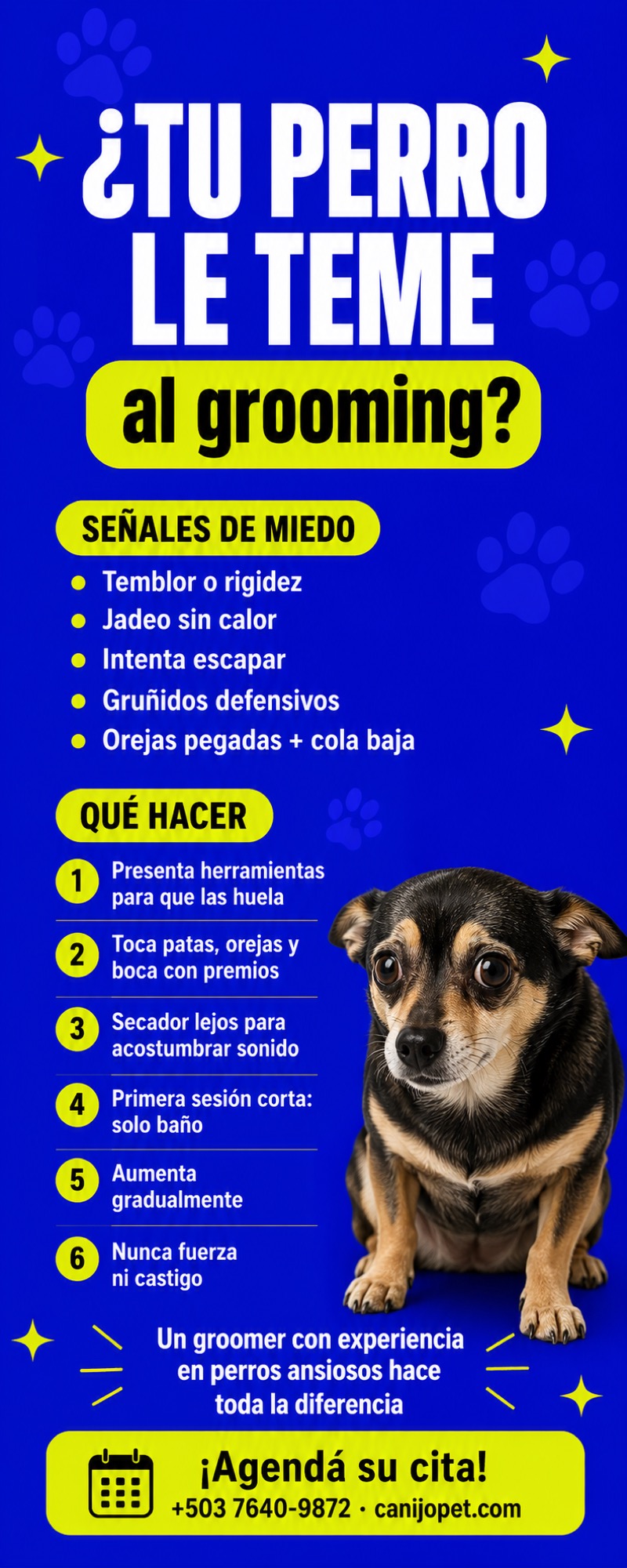 Señales de estrés en el grooming y protocolo para perros con miedo
