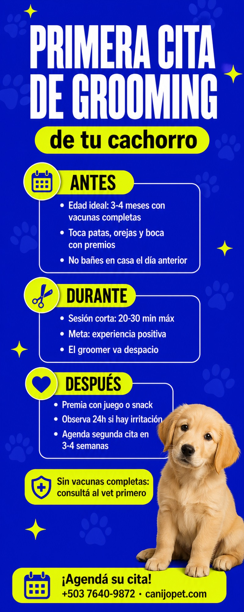 Guía completa para preparar la primera cita de grooming de tu cachorro