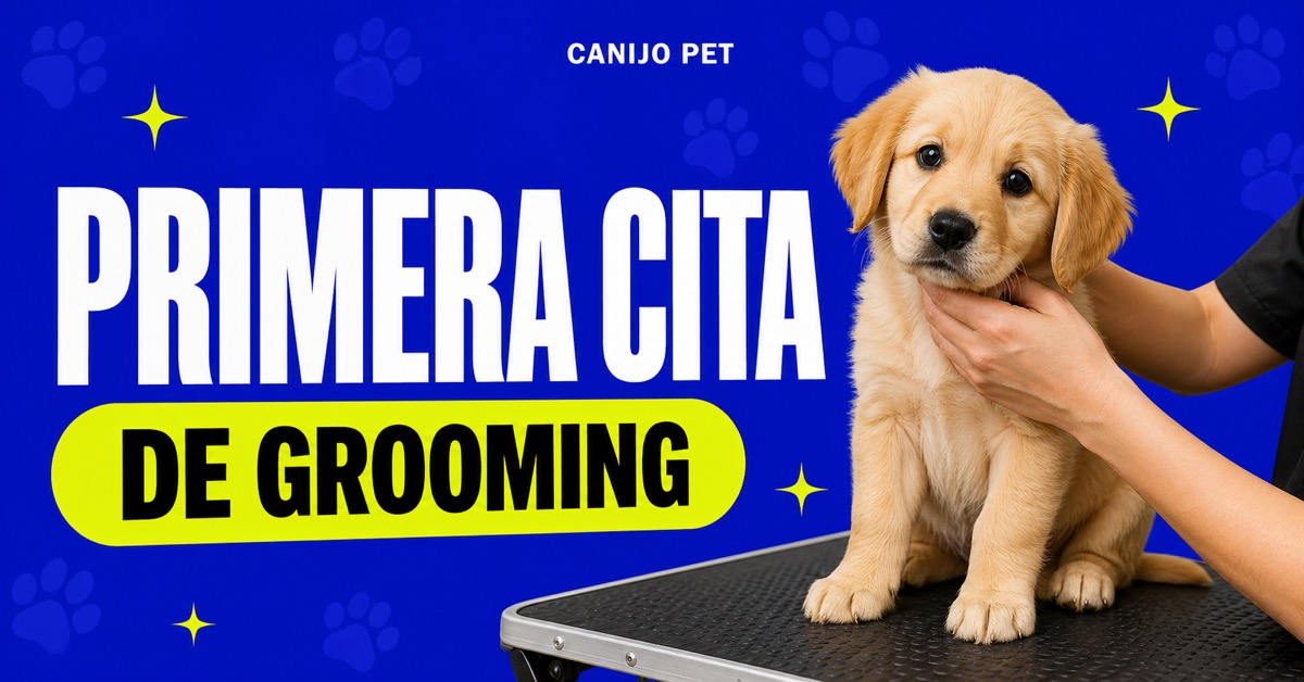 Cómo preparar la primera cita de grooming de tu cachorro