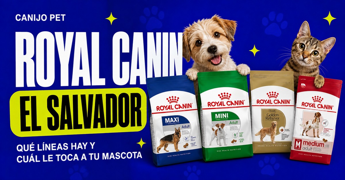 Bolsas reales de Royal Canin Maxi Adult, Mini Adult, Golden Retriever y Medium Adult, con un perro y un gato detrás