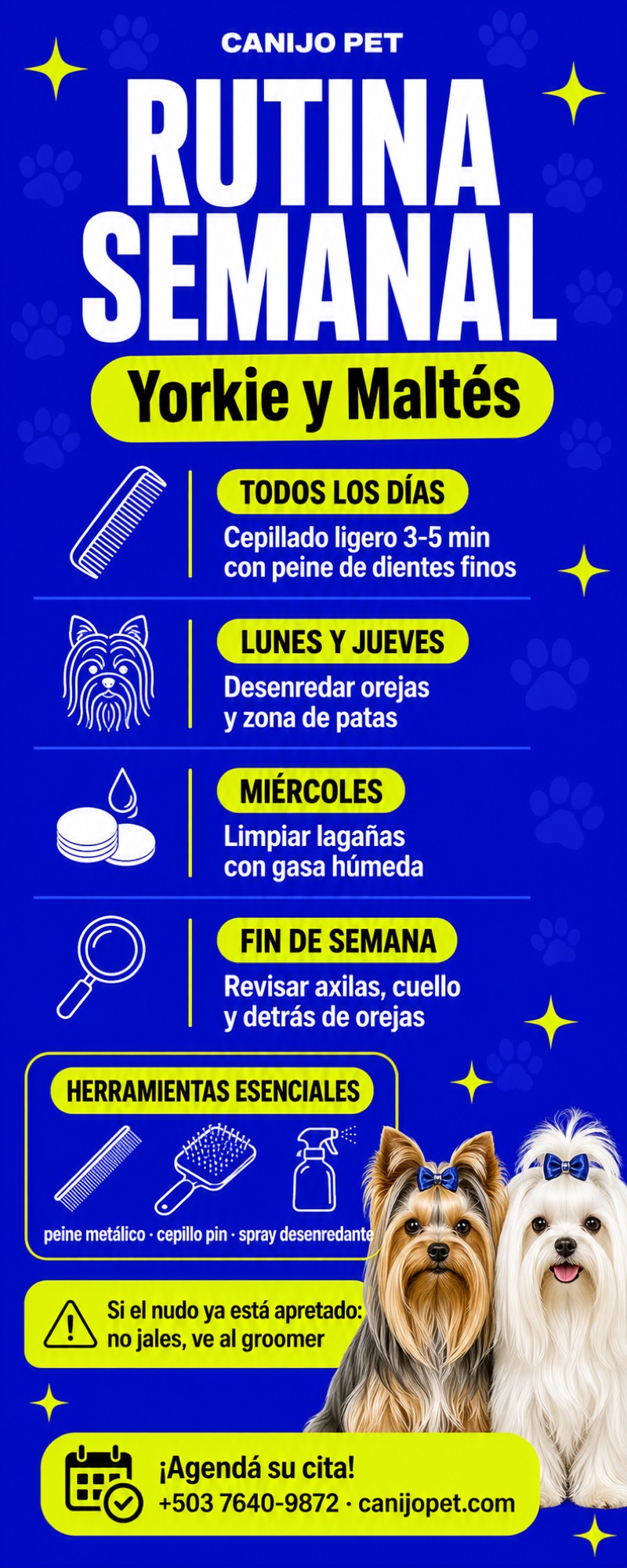 Rutina semanal de cepillado para Yorkie y Maltés